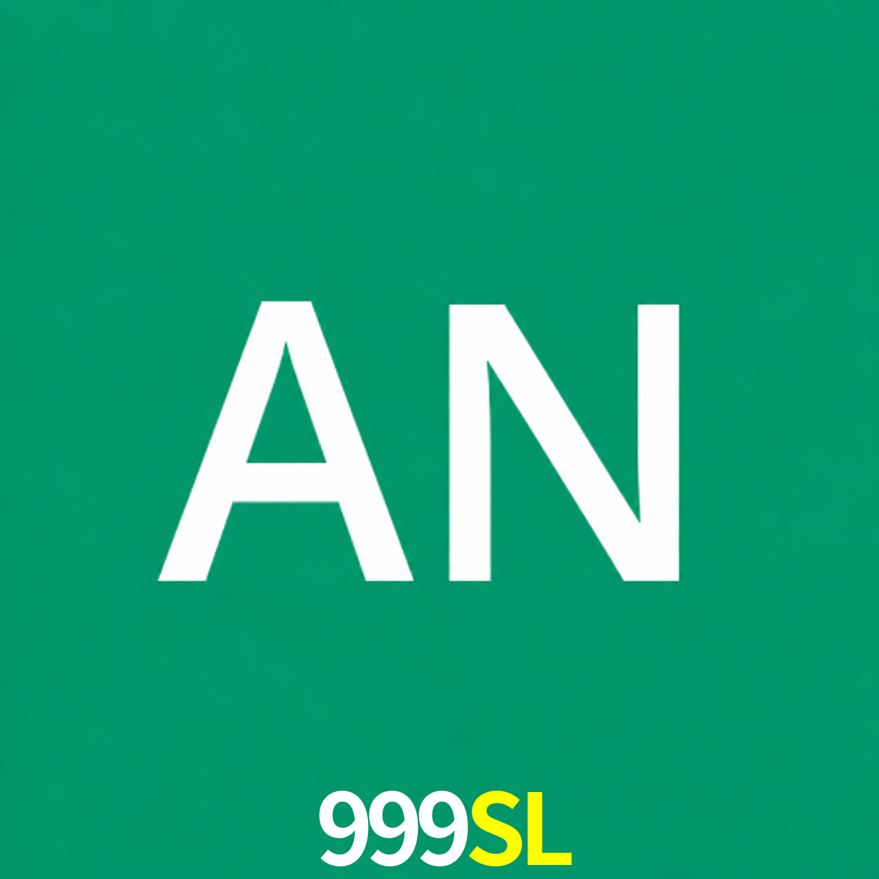 Adi Nugroho - Founder & CEO 999SL Indonesia